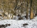 Polovnicke zdruzenie-Lipie   128